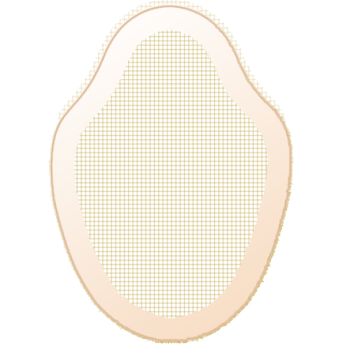 ETERNAL Classic II Lace Front (Fine Welded Mono)