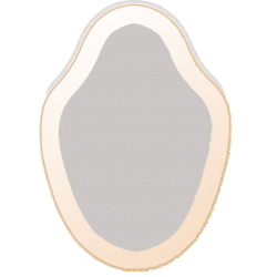ETERNAL Classic Lace Front (Fine Mono)