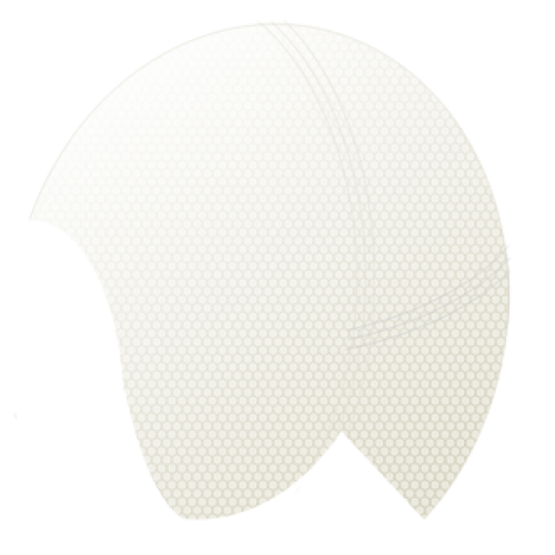 Full Lace Wig Full Lace Wig